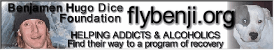 flybenji Addiction Recovery 101